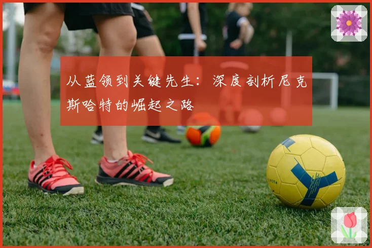 从蓝领到关键先生:深度剖析尼克斯哈特的崛起之路