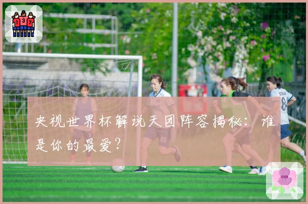 央视世界杯解说天团阵容揭秘：谁是你的最爱？