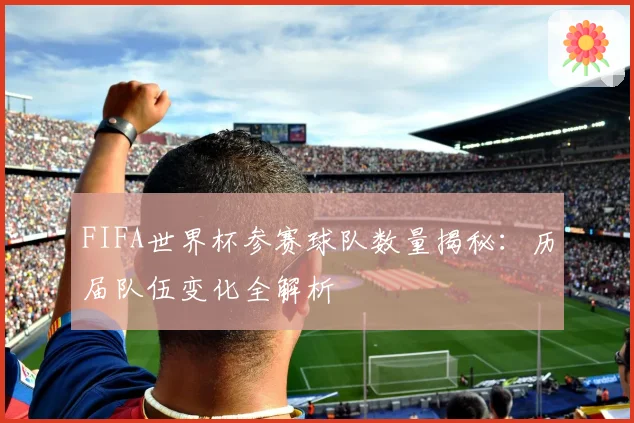 FIFA世界杯参赛球队数量揭秘：历届队伍变化全解析