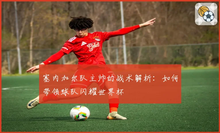 塞内加尔队主帅的战术解析:如何带领球队闪耀世界杯